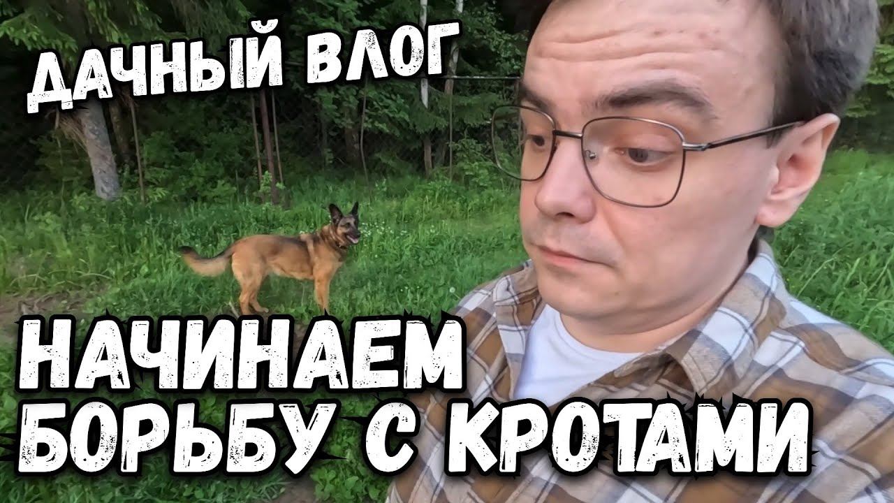 Дачный влог. Начинаем борьбу с кротами на участке. Какие дороги в СНТ? смотреть онлайн