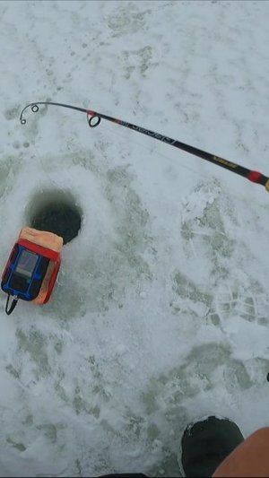 СУДАК НА ВИБ/ ЛОВЛЯ СУДАКА В КОРЯЖНИКЕ/РЕКА САМАРА/ ПРИМАНКА - FISH GAMES "JAKU 85"