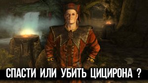 Skyrim Убить или Помиловать Цицирона? Правильный выбор в квесте «Лекарство от безумия»