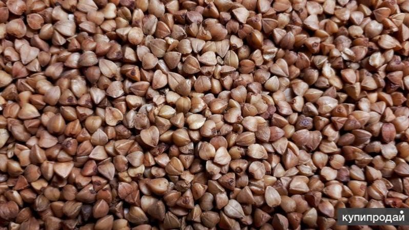 МУКБАНГ : Гречка на обед ХУДЕЕМ ВМЕСТЕ ПОДПИШИСЬ смотреть онлайн