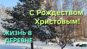 Жизнь в деревне С Рождеством Навалило снега Родители привезли гостинца курочкам