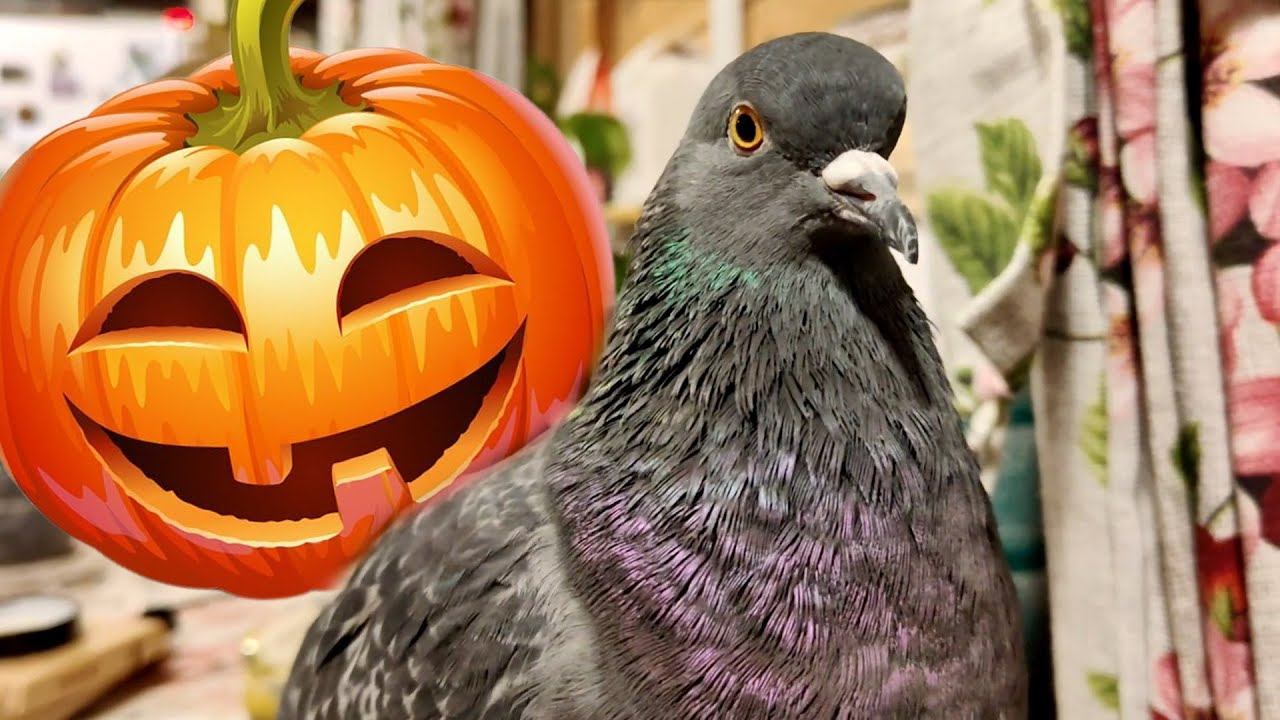 АНАСТАСИЯ. Мистические беседушки