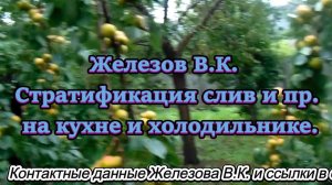 Железов В.К. Стратификация слив и пр. на кухне и холодильнике.
