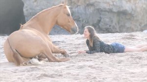 Chris Rea - Looking For The Summer ( Живая версия-Empresion Remix)