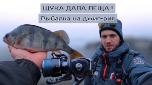 ЩУКА ДАЛА ЛЕЩА ! Рыбалка на джиг-риг .