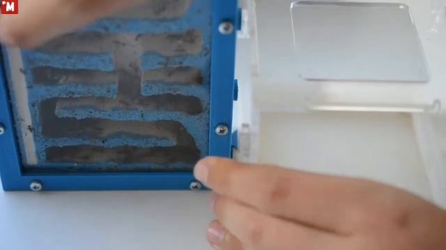 Муравьи Афеногастер шури. Вертикальный формикарий. смотреть онлайн