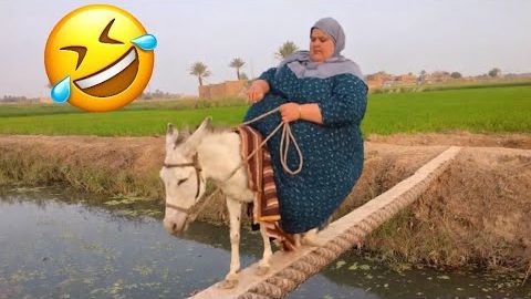 Попробуй не рассмеяться 🤣 Топ-100 самых смешных видео в истории 🎬🔥 Подборка неудач и розыгрышей смотреть онлайн