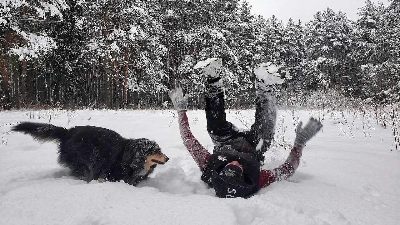 ЛЕСНЫЕ БЕСЕДЫ. Утро 1 января