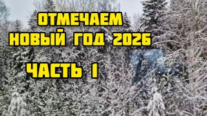182. Новогодний влог. Вдвоем не скучно. В Москву на праздник