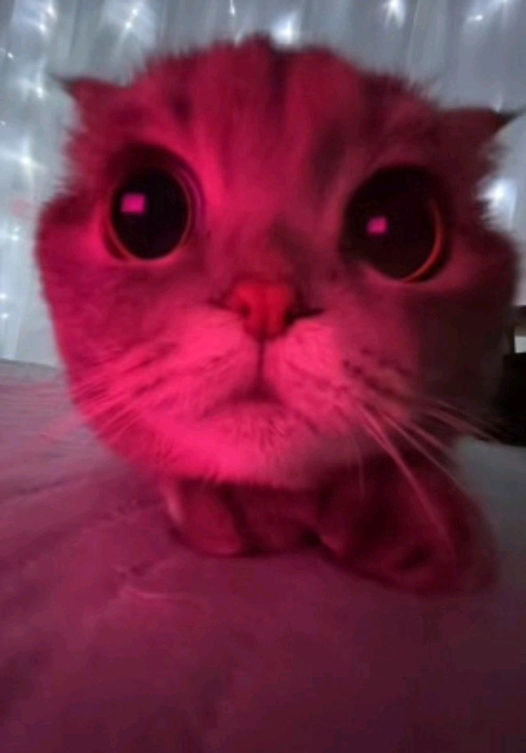 кукуук смотреть онлайн