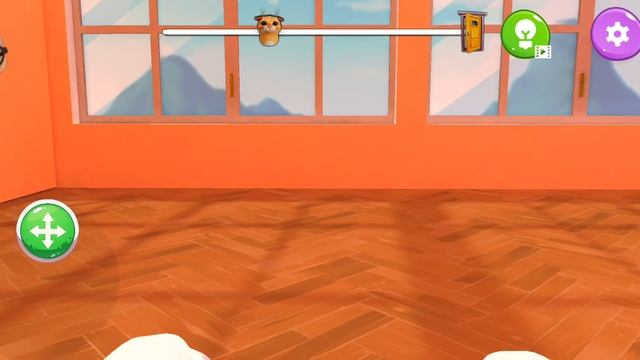 выгоняю кота из дома