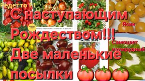 Небольшая посылка от любимых девочек!!!Томаты,перцы!!!
