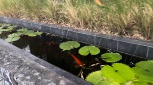 Дорвались до еды в Паттайе 😋 Том-Ям, креветки и полный релакс