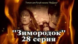 Впечатления от 28 серии турецкого сериала «Зимородок»