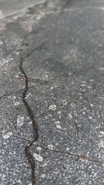 Керамогранит Mia Dark Sugar Carving 60x120 смотреть онлайн