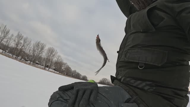 Зимняя рыбалка. Самара. затон Гусиха 6.12.2026 (где рыбачить в Самаре и Самарской области)