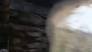 1000064325.mp4
