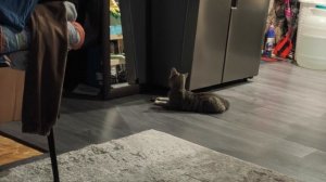 Блог.Рабочии  дни ещё не кто не отменял.04.01.25