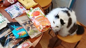 Скоро на море на поезде/Купили продукты в дорогу