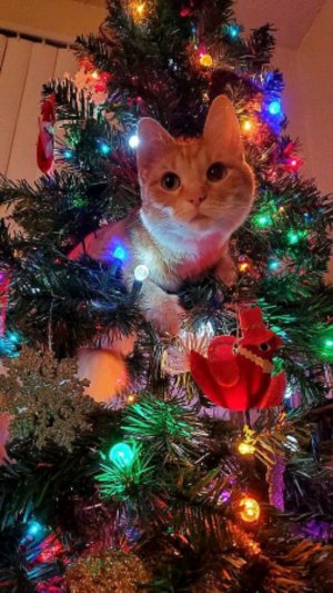 короче заходи на мое трансляцую