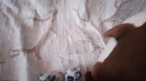 гусь 3 сезон 1 серия 1 часть рождественская школа 🪿