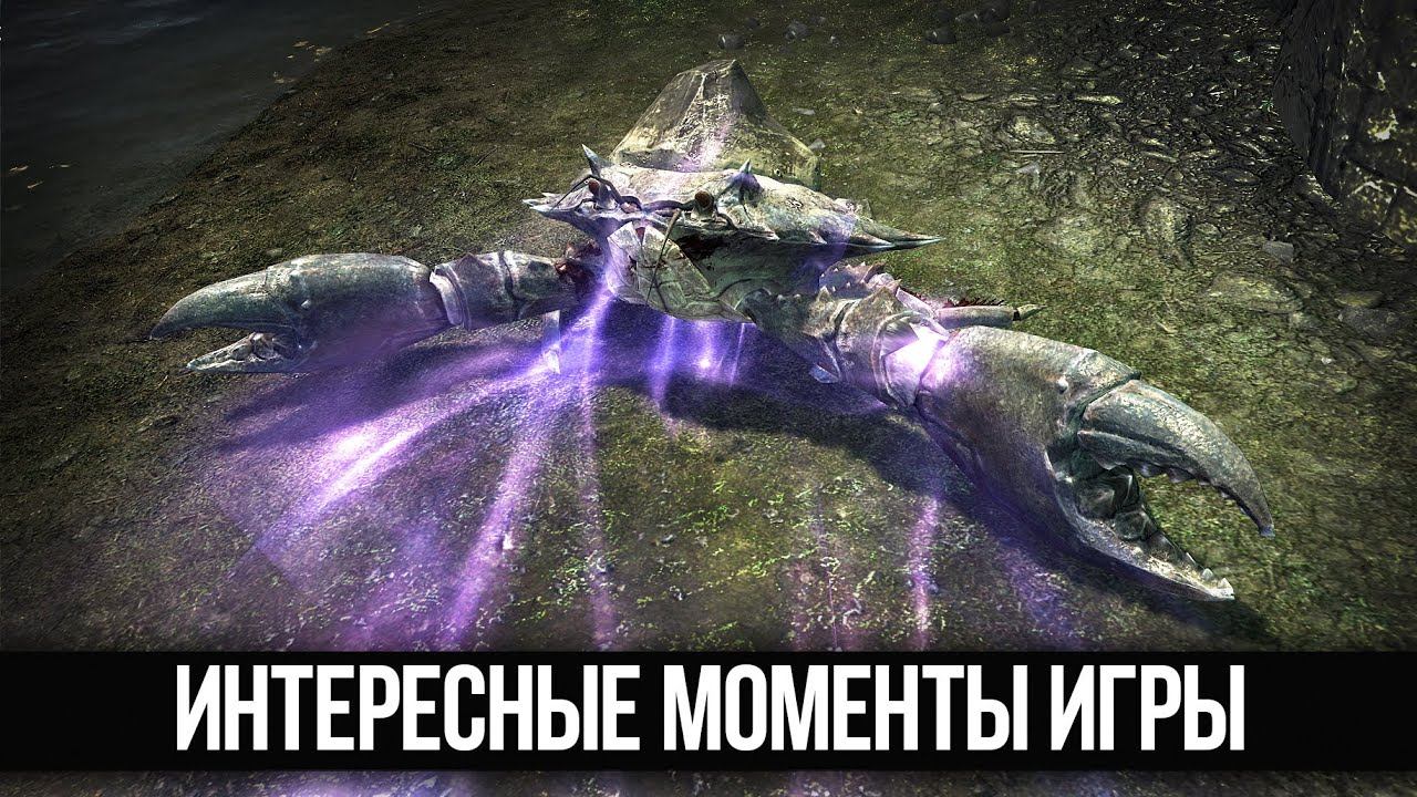 Интересные Моменты Скайрима: Город где Фалмеры живут вместе с людьми, Отсылка к Обливиону и прочее смотреть онлайн