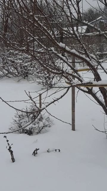 Зима пришла в мой сад. смотреть онлайн