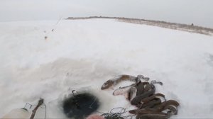 Рыбалка у чёрной дыры. Ловля налима. Тридцать вторая серия👍🏻