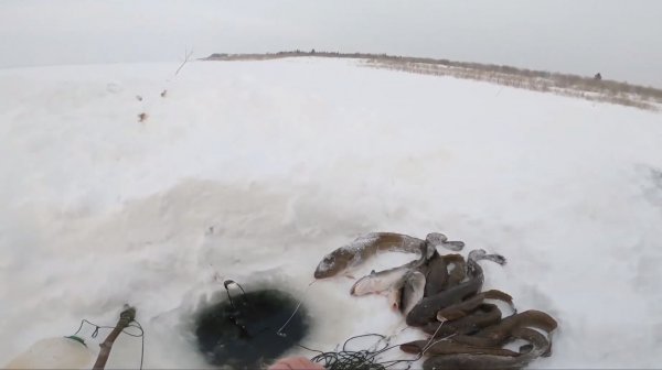 Рыбалка у чёрной дыры. Ловля налима. Тридцать вторая серия👍🏻