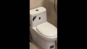 #смешныевидео -623