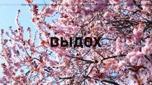 Дыхание при ГЭРБ | ДЫХАТЕЛЬНАЯ ПРАКТИКА