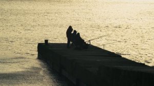 Артоскетч (2025.12.18) Ялта