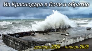 Сочи 2026. Из Краснодара в Сочи и обратно, на новогодние праздники.