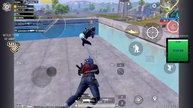 LIVE: WildTom_YouTube
