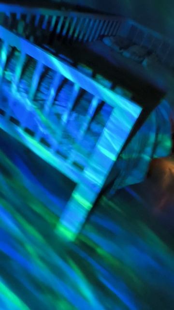 танцуй как кот