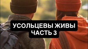 Усольцевы таро расклад. Живы? Бегство? Часть 3.