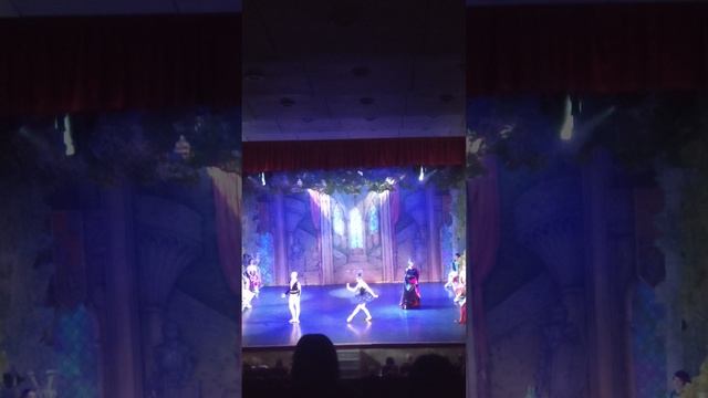 VID2026 Сегодня я был на Балете Лебединое озеро смотреть онлайн