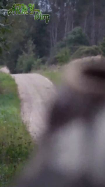 Как Польша может начать свою спецоперацию против Калининграда? смотреть онлайн