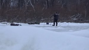 Волшебная Лунка Одарила Рыбой! Зимняя Рыбалка на Оке 2026!