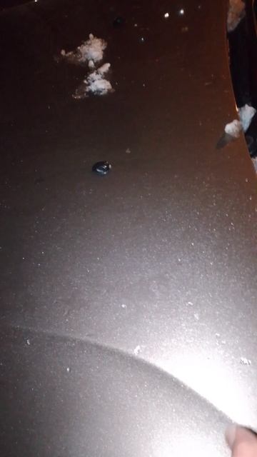 Кока снега даже не тает на крыше! смотреть онлайн