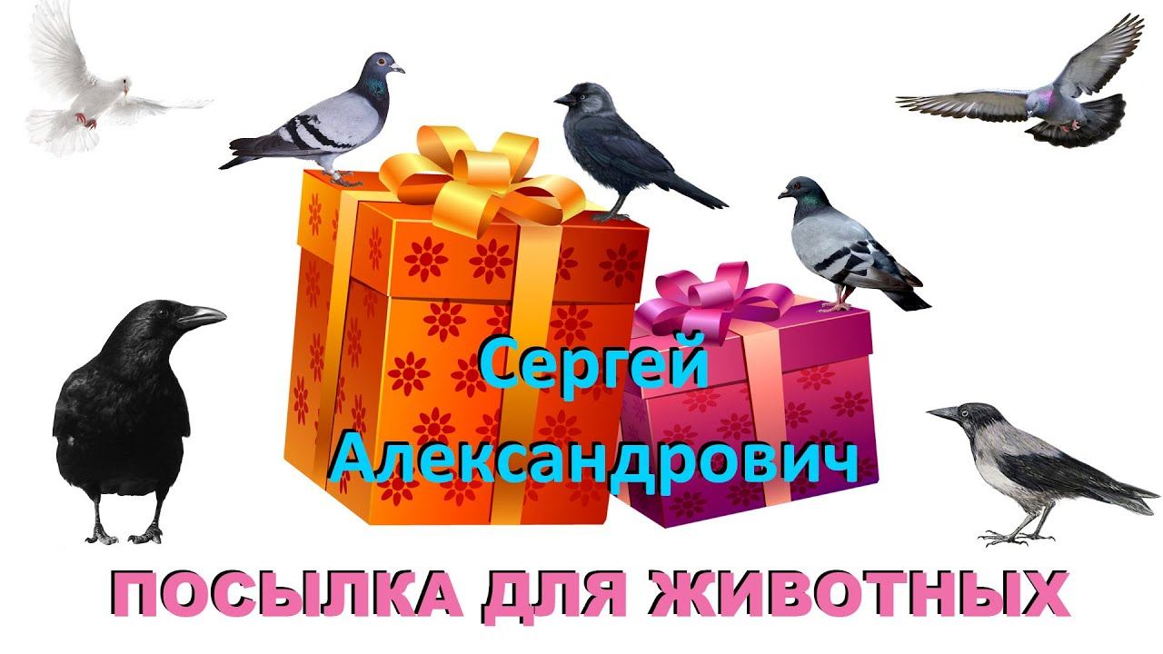 ПОСЫЛКА ОТ ЗРИТЕЛЕЙ. Сергей Александрович смотреть онлайн