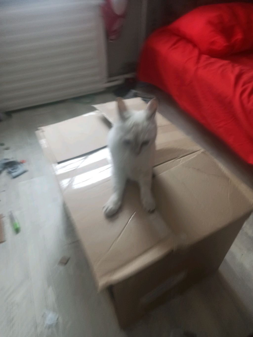 пишите задания смотреть онлайн