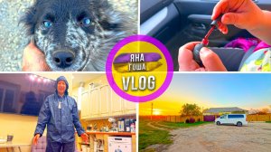 Собака с уникальными глазами! Сюрприз для жены. Лучшее время года в Крыму. Купил себе спец. костюм.