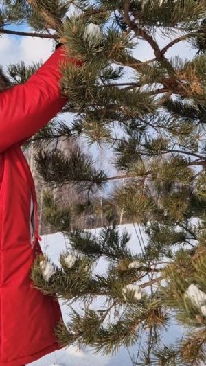 С Рождеством Христовым!🌟✨