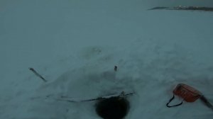 Едем на Рыбалку, вперёд и с песней.