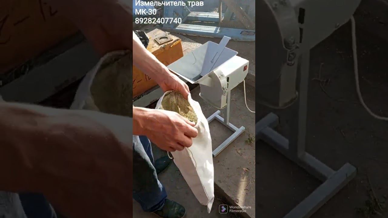 11 декабря 2022 г. смотреть онлайн