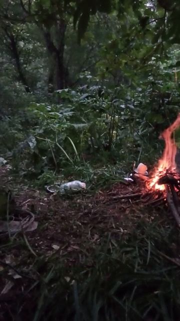 Вечерняя посиделка у костра в лесу смотреть онлайн
