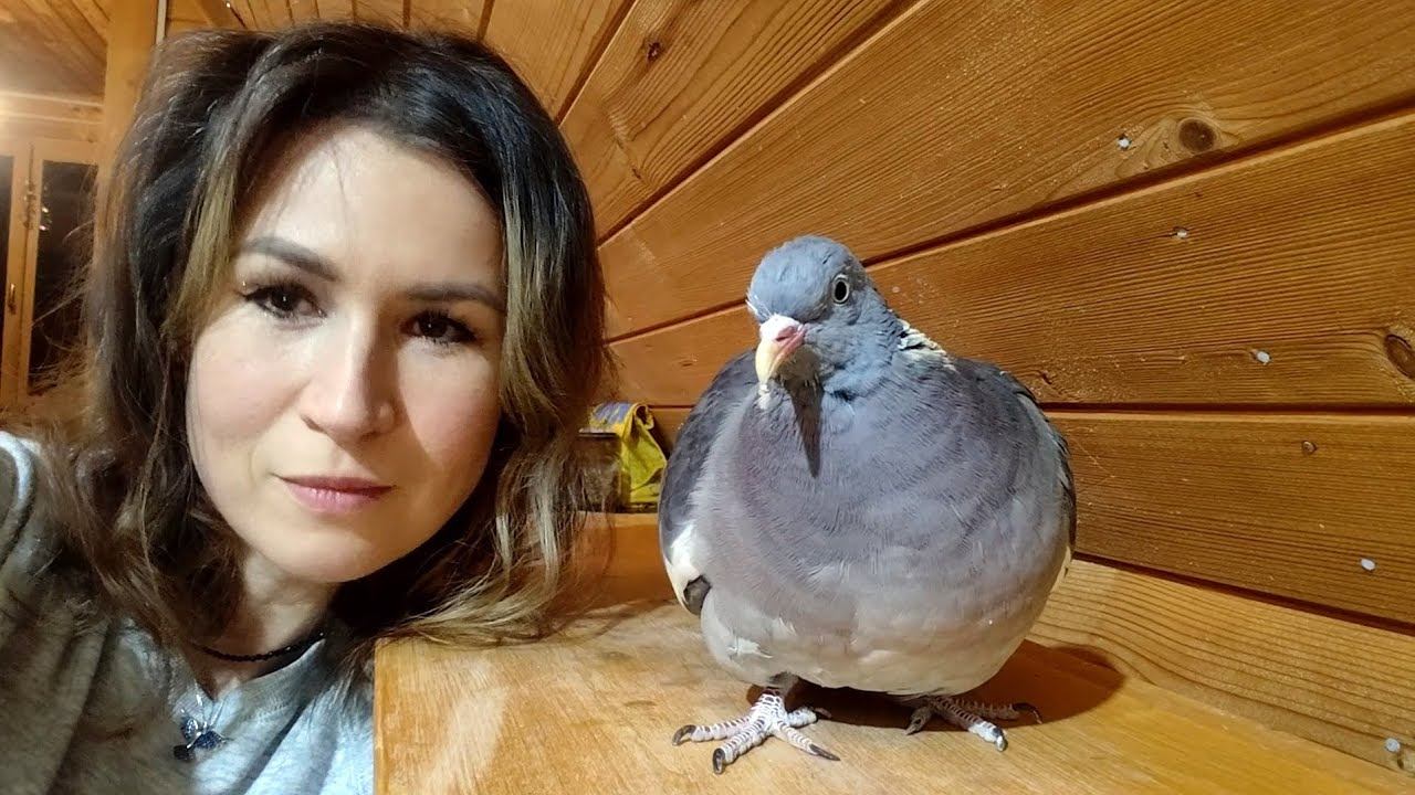 АНАСТАСИЯ. Вяхириная любоff