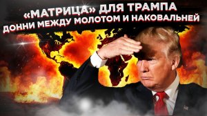 ТРАМП МЕЖДУ МОЛОТОМ И НАКОВАЛЬНЕЙ: ЦРУ или слепота? Арест Зеленского или крах Украины?