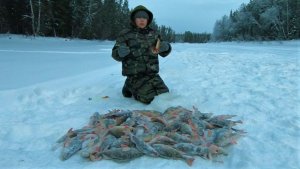 ОТКРЫВАЕМ 2026 ГОД НА ЛЮБИМОМ ЕТЫ-ПУРЕ! ВСТРЕТИЛИ НАС ВСЕ МЕСТНЫЕ РЫБЫ)!